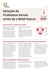 Deteção de Problemas Renais antes de o Bebé Nascer