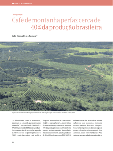 Café de montanha perfaz cerca de 40% da produção brasileira