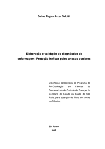 Elaboração e validação do diagnóstico de enfermagem: Proteção