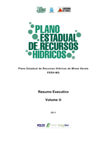 Resumo Executivo Volume II