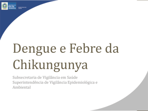 Dengue e Febre da Chikungunya