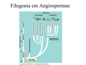 Filogenia em Angiospermae - Departamento de Biologia
