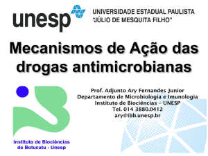 Aula Mecanismo de Ação das Drogas Antimicrobianas - IBB