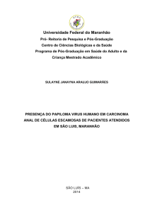 DISSERTACAO_SULAYNE JANAYNA ARAUJO - início