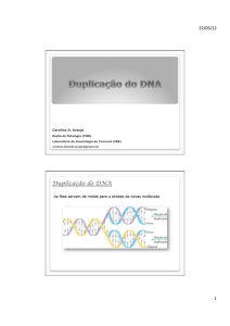 10b Duplicação do DNA - IBB