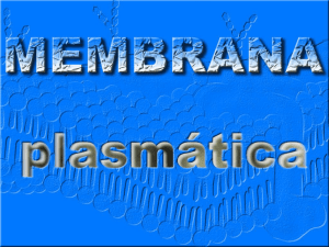 Membrana Plasmática - Professor Talles
