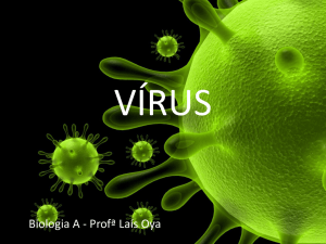 Biologia A - Prof&ordf; La&iacute;s Oya