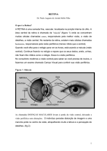 retina - Clínica de Olhos Arruda de Mello
