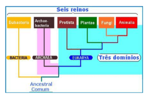 aula_procariotos