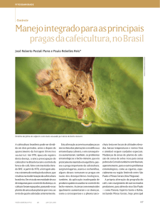 Manejo integrado para as principais pragas da cafeicultura, no Brasil