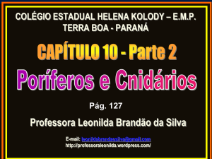 Cnidarios - Professora Leonilda