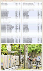 As notas dos cursos gaúchos mais bem posicionados