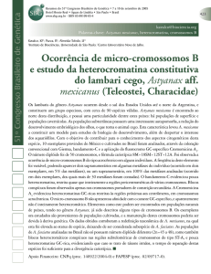 Ocorrência de micro-cromossomos B e estudo da heterocromatina