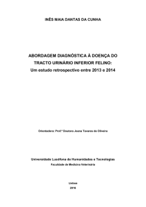 ABORDAGEM DIAGNÓSTICA À DOENÇA DO TRACTO URINÁRIO