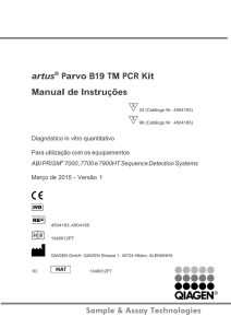 Parvo B19 TM PCR Kit