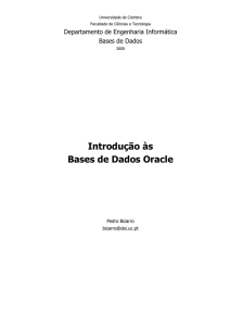Introdução às Bases de Dados Oracle