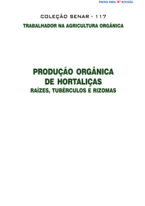 produção orgânica de hortaliças raizes