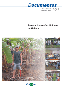 Documentos 161 Banana: Instruções Práticas de Cultivo - Infoteca-e