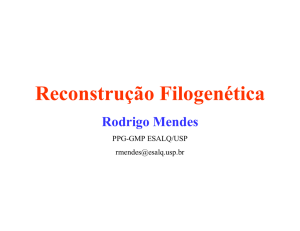 Reconstrução Filogenética - Rodrigo Mendes