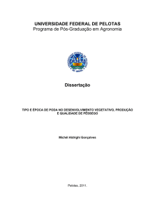 Dissertação - Universidade Federal de Pelotas