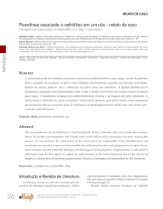 Pionefrose associada a nefrólitos em um cão - relato de