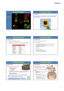 Fisiologia Vegetal Fisiologia Vegetal Fisiologia Vegetal Fisiologia