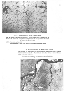 Fig. 17 - Fotografia aérea nO. 16.736 - Escala 1