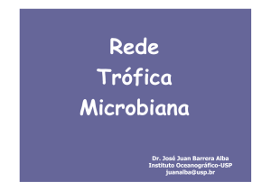 Rede Trófica Microbiana - Danilo Rodrigues Vieira