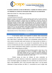 As plantas medicinais na feira de Morrinhos: a tradição da medicina