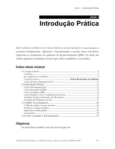 Introdução Prática