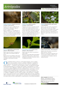 Artrópodes - Island Lab - Universidade dos Açores