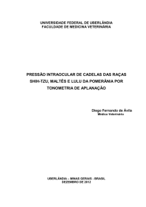 pressão intraocular de cadelas das raças shih