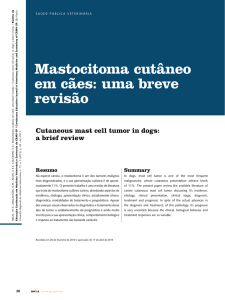 Mastocitoma cutâneo em cães: uma breve revisão