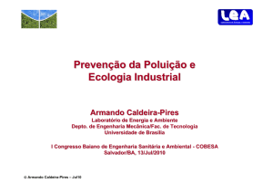 Prevenção da Poluição e Ecologia Industrial