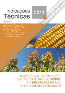 Indicações Técnicas 2011 - Cultivo do milho e do sorgo