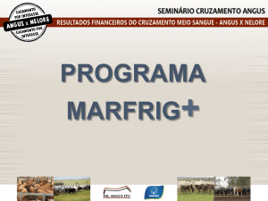 Programa Marfrig +