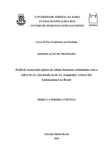 Rebecca Pereira Curvelo Perfil de transcrição...2015 - Arca