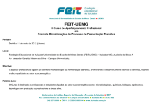 FEIT-UEMG - MC Desinfecção Industrial