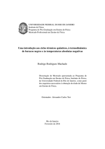 Texto Completo - Instituto de Física / UFRJ