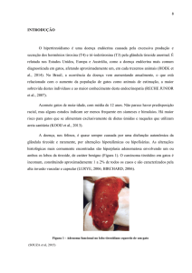 INTRODUÇÃO O hipertireoidismo é uma doença endócrina