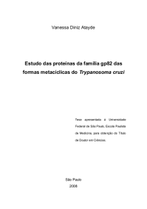 Estudo das proteínas da família gp82 das formas metacíclicas do