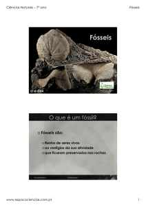Fósseis