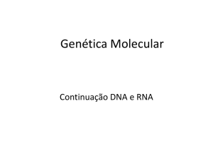 Genética Molecular DNA e RNA continuação