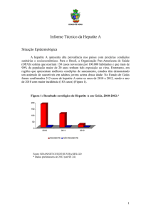 Informe Técnico da Hepatite A