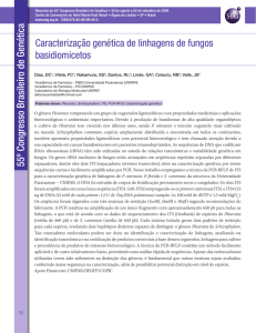 Caracterização genética de linhagens de fungos basidiomicetos 55º