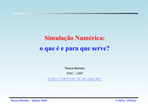 Simulação Numérica: o que é e para que serve? - IFSC