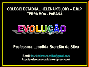 Professora Leonilda Brandão da Silva