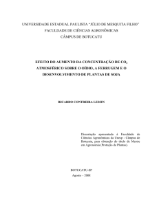 EFEITO DO AUMENTO DA CONCENTRAÇÃO DE CO2