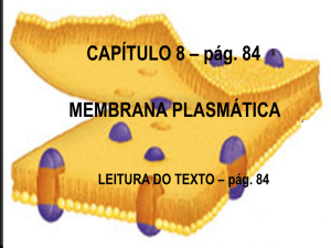 Membrana Plasmatica - Professora Leonilda