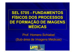 SEL5705 - Prof. Homero Schiabel
